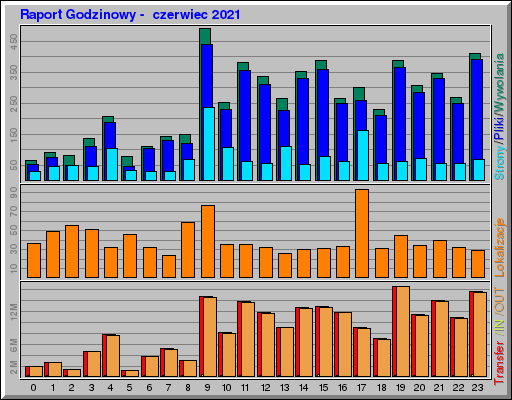 Raport Godzinowy -  czerwiec 2021