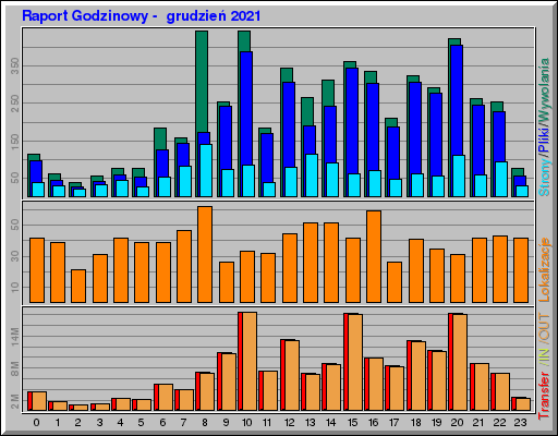 Raport Godzinowy -  grudzień 2021