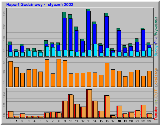 Raport Godzinowy -  styczeń 2022