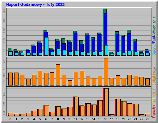 Raport Godzinowy -  luty 2022