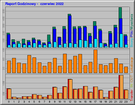Raport Godzinowy -  czerwiec 2022