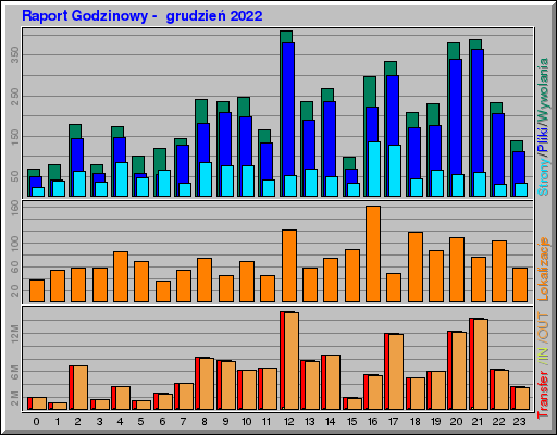 Raport Godzinowy -  grudzień 2022