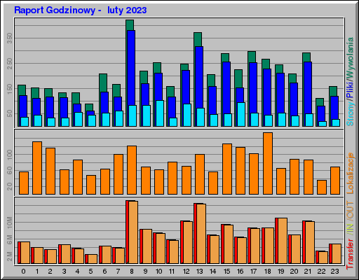 Raport Godzinowy -  luty 2023