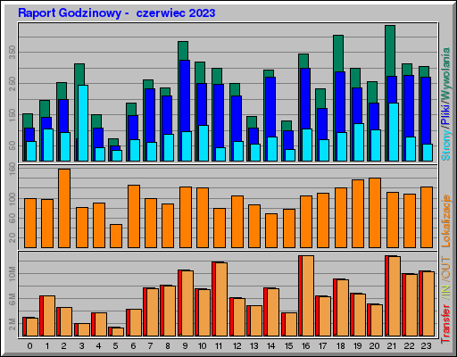 Raport Godzinowy -  czerwiec 2023