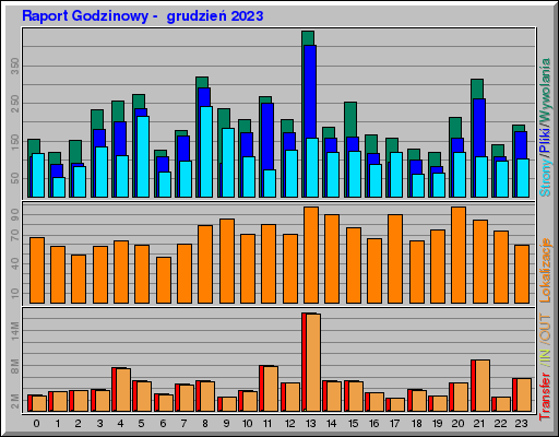 Raport Godzinowy -  grudzień 2023
