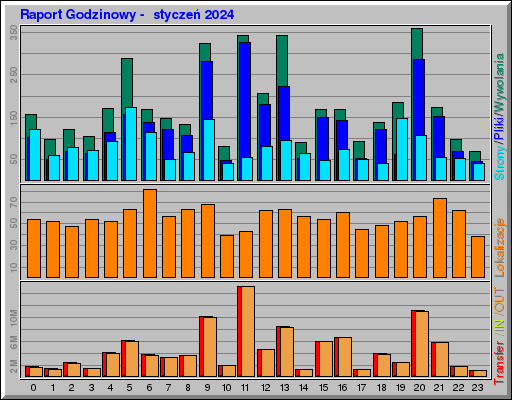 Raport Godzinowy - styczeĹ 2024 Raport Godzinowy - styczeĹ 2024