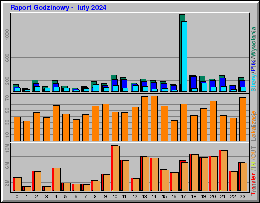Raport Godzinowy -  luty 2024