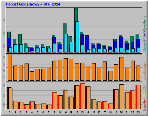 Raport Godzinowy -  Maj 2024