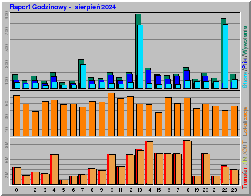 Raport Godzinowy -  sierpień 2024