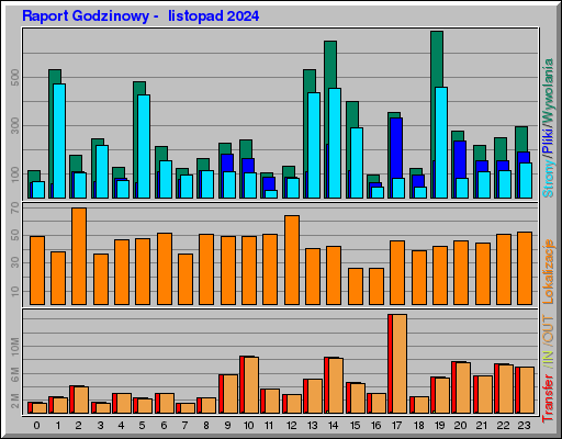 Raport Godzinowy -  listopad 2024