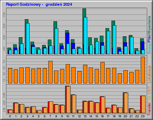 Raport Godzinowy -  grudzień 2024