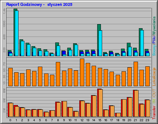 Raport Godzinowy - styczeĹ 2025 Raport Godzinowy - styczeĹ 2025