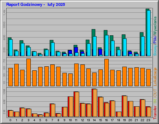 Raport Godzinowy -  luty 2025
