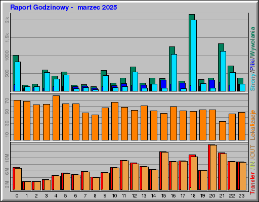 Raport Godzinowy -  marzec 2025