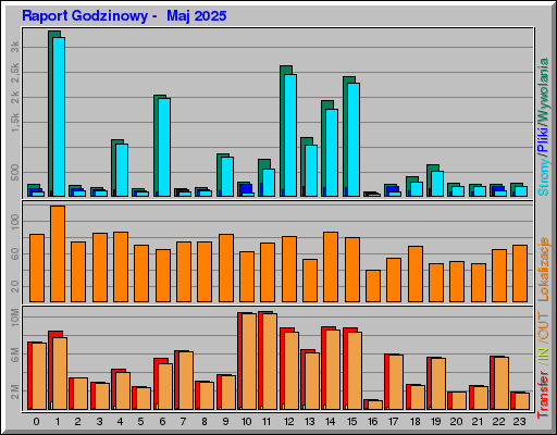 Raport Godzinowy -  Maj 2025