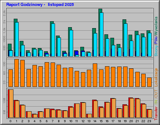 Raport Godzinowy -  listopad 2025