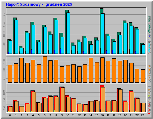 Raport Godzinowy -  grudzień 2025