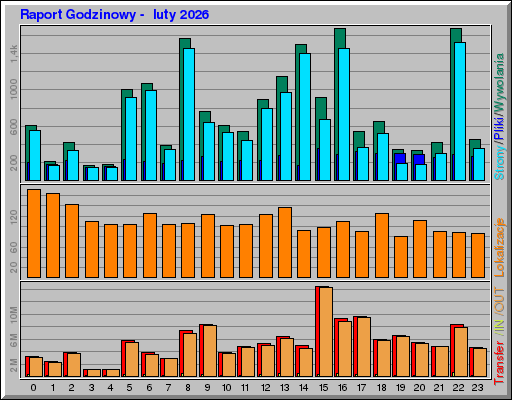 Raport Godzinowy -  luty 2026